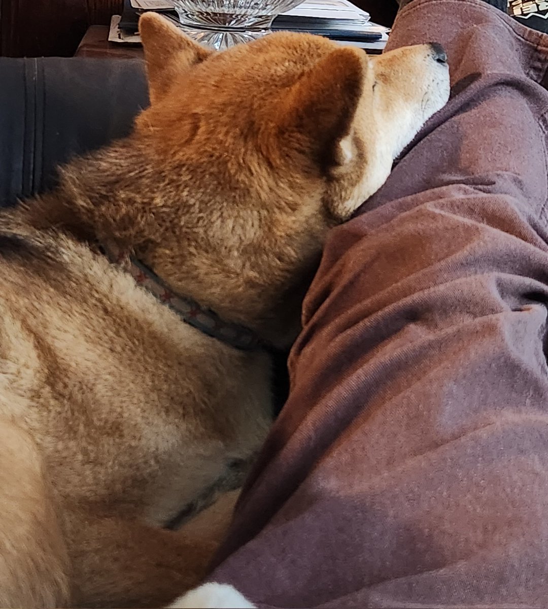 robbrutvan's tweet photo. @redchessqueen99 Just watched Creed III at home with mine :) https://t.co/uwoZWf9naB