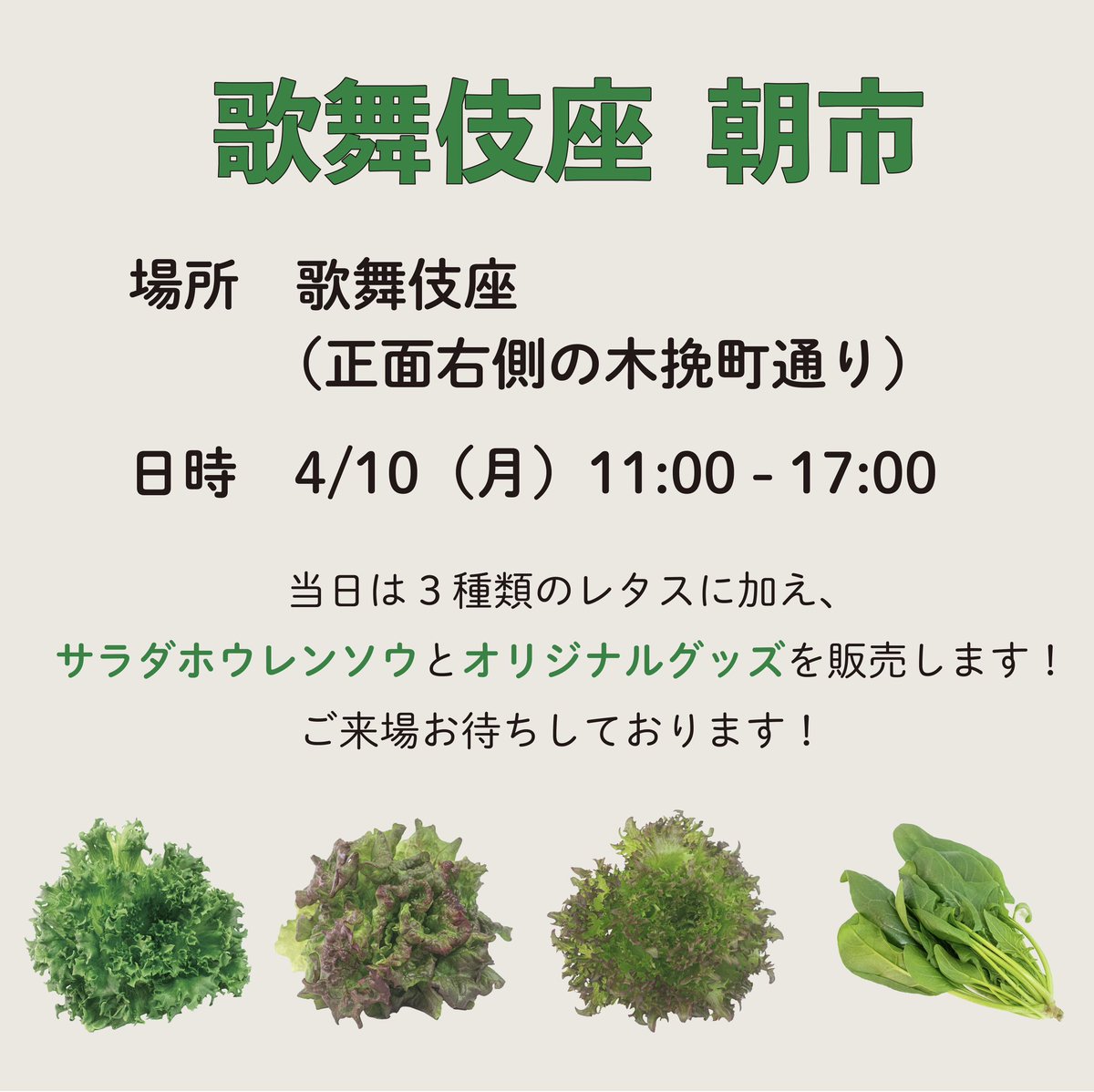 LFT_official's tweet photo. ☆★＼マルシェ出店のお知らせ No.8／★☆

4月10日（月）、歌舞伎座朝市に初出店いたします！今回は、サラダホウレンソウや新作グッズなども販売！

【日時】2023年4月10日（月）11:00～17:00※商品がなくなり次第終了※荒天中止
【場所】東京都中央区銀座4-12-15

#マルシェ
#歌舞伎座
#朝市
#レタス https://t.co/eoqu3xScAH