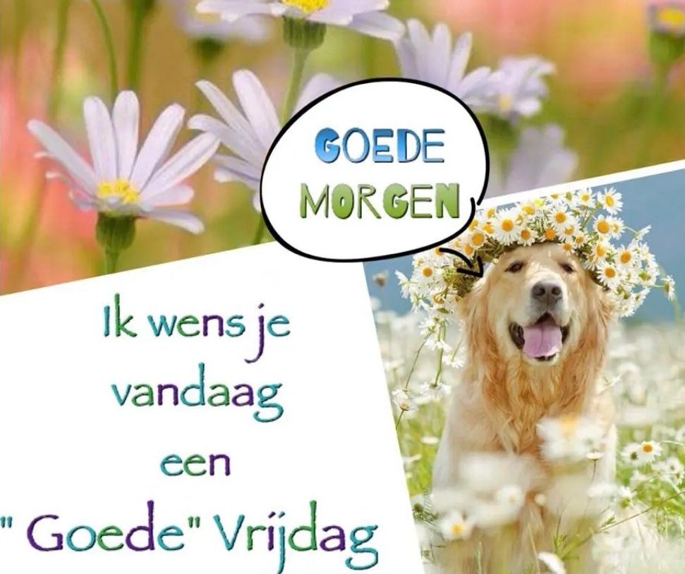 #goedevrijdag