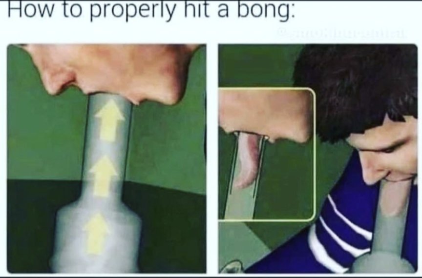 TempleGrower's tweet photo. Just a reminder. 
#Bong #Gnob https://t.co/r2oKfScKfC