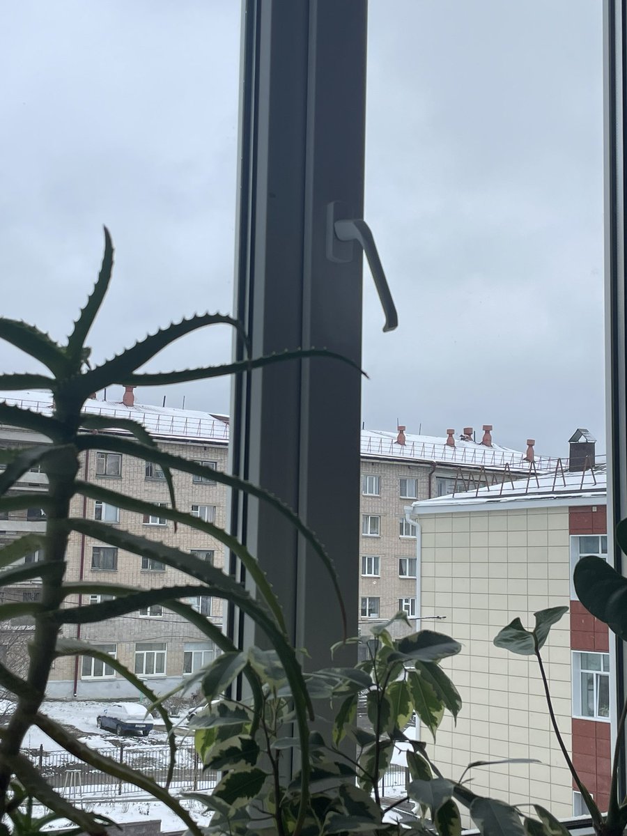 vika_ymteeva's tweet photo. Spring in Russia be like: https://t.co/H7fUxkQ9bf
