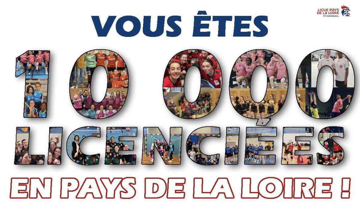 Ligue Handball Pays de la Loire tweet media