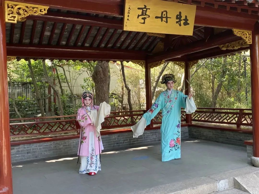 PDChinaLife's tweet image. You are invited to a peony-themed carnival! With the blossoming of peonies, Zhongshan Park in Changning district of Shanghai will host the annual carnival on April 8. Ready to be surrounded by the sea of flowers at the classical garden!