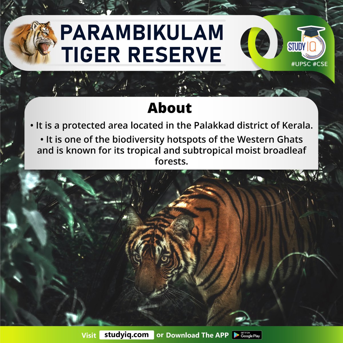 upsciq's tweet photo. Parambikulam Tiger Reserve
#parambikulamtigerreserve #kerala #tigerreserve #highcourt #elephant #palakkad #westernghats #broadleafforests #rangeofflora #fauna #indianelephants #slothbears #indiangaur #anamalaihills #nelliampathyhills #karimalagopuram #perennialrivers https://t.co/ycie3PJQRH