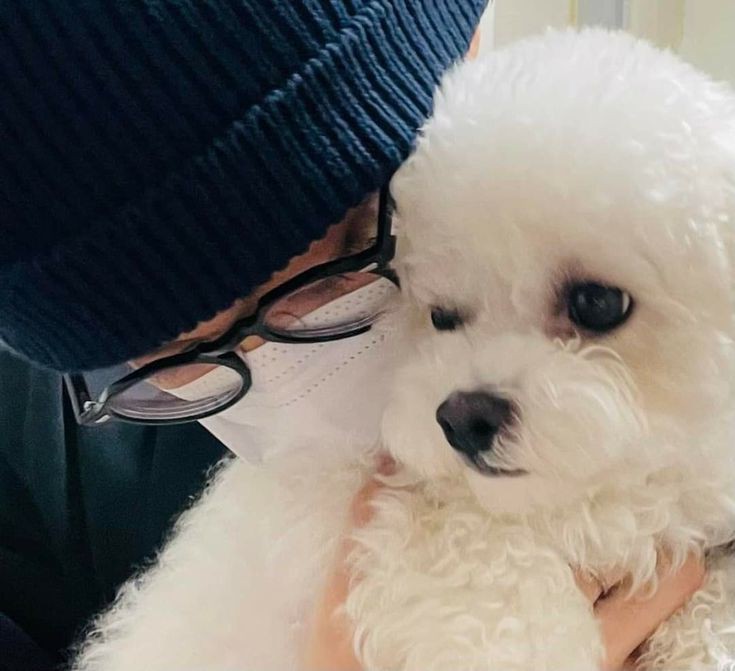 markoeunarchive's tweet photo. 🐶🐶🐶 #MAGUTOKKI https://t.co/pGo3KcEgKU
