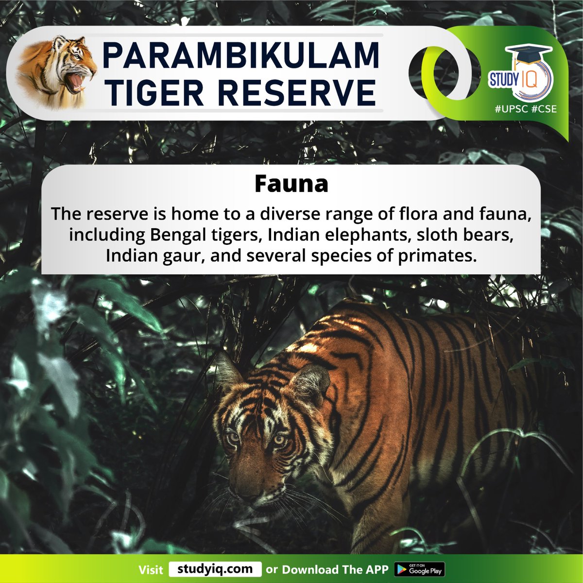 bankiqeducation's tweet photo. Parambikulam Tiger Reserve
#parambikulamtigerreserve #kerala #tigerreserve #highcourt #elephant #palakkad #westernghats #broadleafforests #rangeofflora #fauna #indianelephants #slothbears #indiangaur #anamalaihills #nelliampathyhills #karimalagopuram #perennialrivers https://t.co/SR78WgZTAb