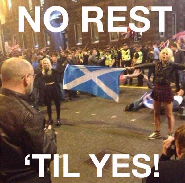 RosemaryPictish's tweet photo. 🏴󠁧󠁢󠁳󠁣󠁴󠁿Indy Supporters remember who enemy is…who refused indy ref 2? It’s undemocratic &amp; reeks of their typical colonial tactics. Devolution trap 🪤- unjustified limited powers - a leash &amp; muzzle.  ⏳ to move beyond ref. Unite &amp; pursue other routes. Get behind https://t.co/58j39SOxZn https://t.co/Bb8UlfUlZm