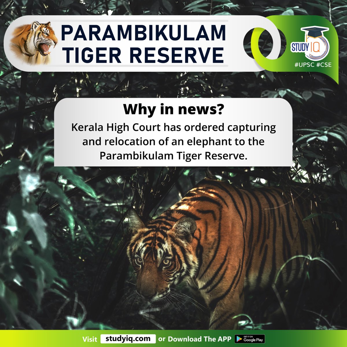 Newspoket's tweet photo. Parambikulam Tiger Reserve
#parambikulamtigerreserve #kerala #tigerreserve #highcourt #elephant #palakkad #westernghats #broadleafforests #rangeofflora #fauna #indianelephants #slothbears #indiangaur #anamalaihills #nelliampathyhills #karimalagopuram #perennialrivers https://t.co/9nMMg30U2y
