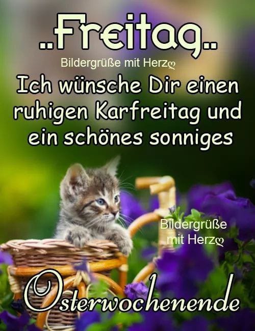 Michael90510478's tweet photo. @KuschelMagie https://t.co/Q3l6ONZYoN