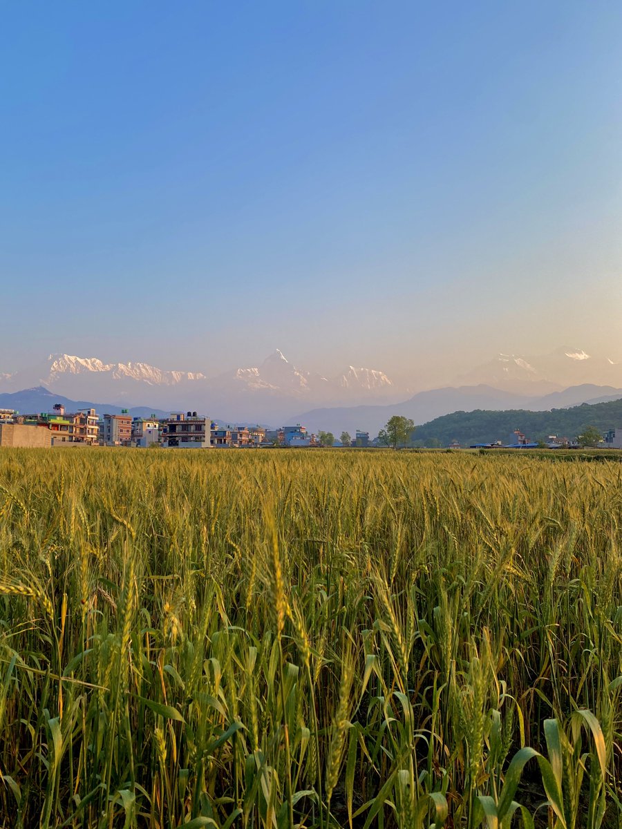 DrPrateekshya's tweet photo. Blessed everyday to be able to see this view 😍
#BeautifulNepal #Pokhara #Himalayas https://t.co/nS22iSBhSy