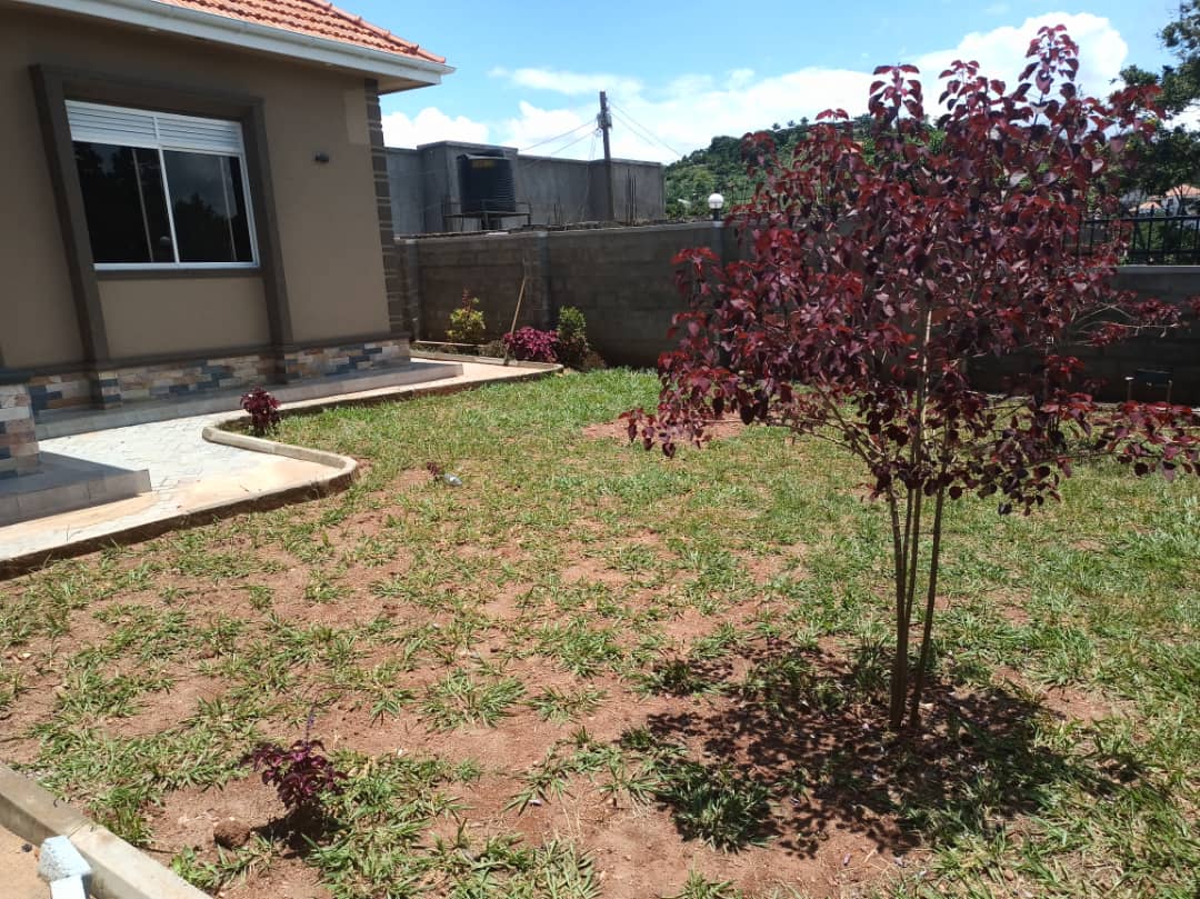 shukranproperty's tweet photo. @wekesa_amos Brand New house available for sale.
♦️Located in Kigo on express highway.
♦️With #4bedrooms sitting and dining rooms open kitchen..with rich neighborhood.
♦️Seated on #13decimals with ready title..
Selling Price #480m for inspection call 0706592177 https://t.co/2DB5lkNzBc