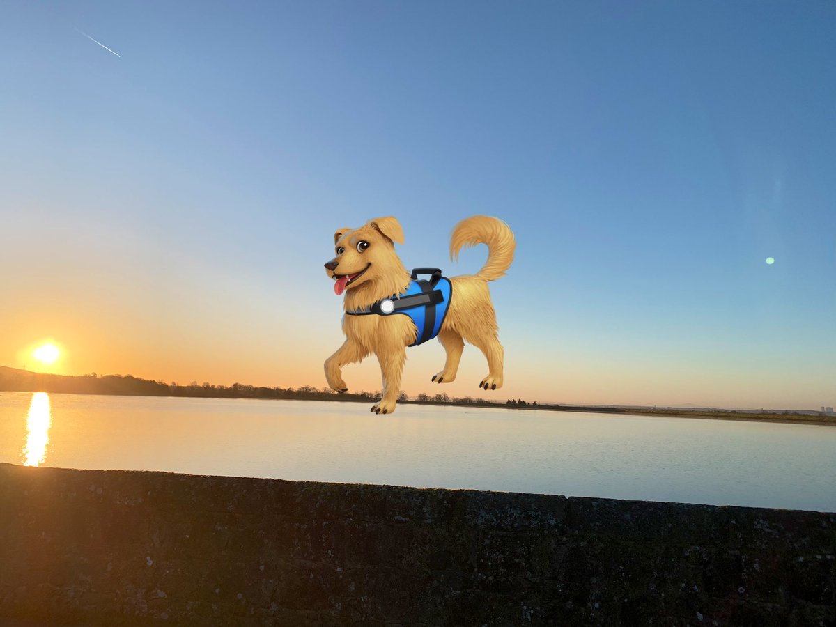 Stunning morning for a long walk 😊😊