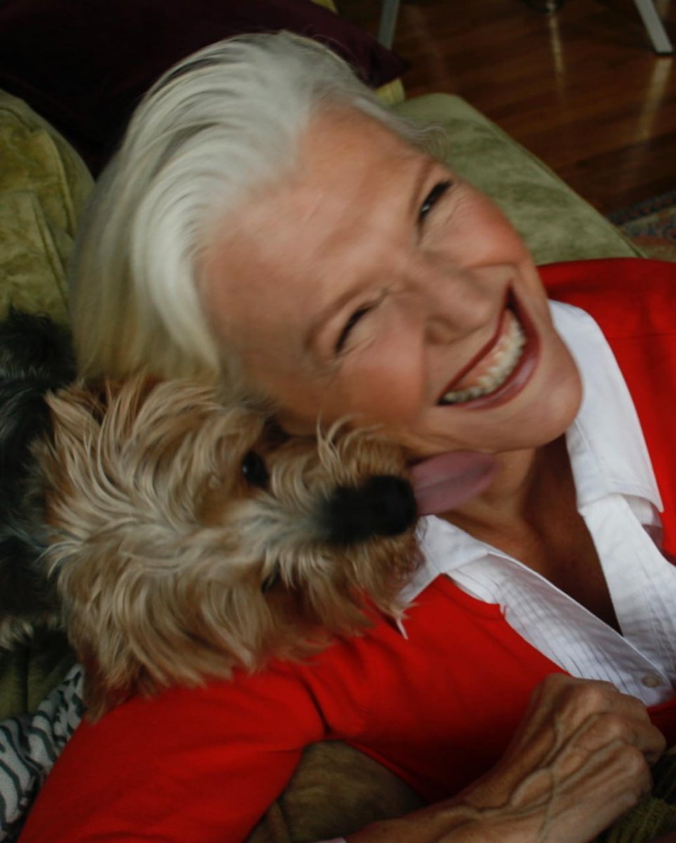 Dogs are the true joy of life. $GM