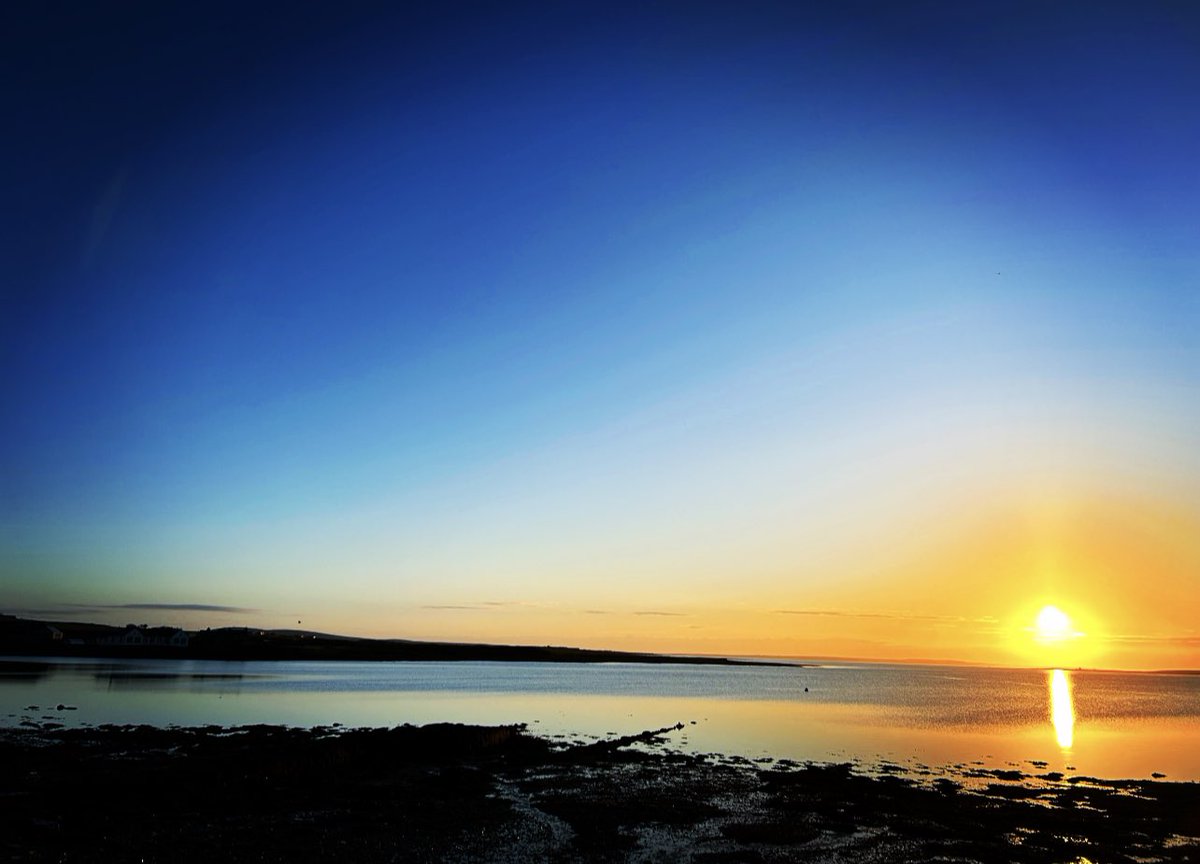 𝙻𝚊𝚞𝚛𝚊 𝚂𝚔𝚊𝚒𝚏𝚎-𝙺𝚗𝚒𝚐𝚑𝚝 💙 tweet media