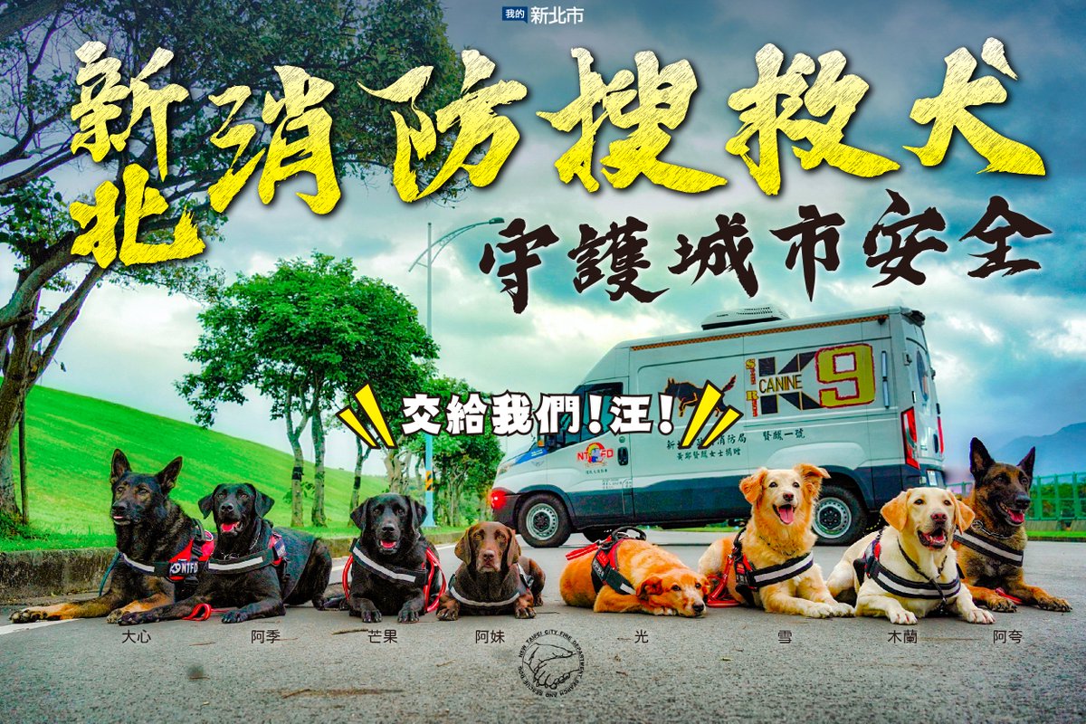 NewTaipeiGov's tweet photo. The New Taipei City Search and Rescue Dog Team recently participated in the IRO @irodogsinternational evaluation test. 3 dogs have passed the advanced certification and 4 dogs have passed the intermediate certification.
#nojobistoobig #nopupistoosmall https://t.co/UDABorPIcU