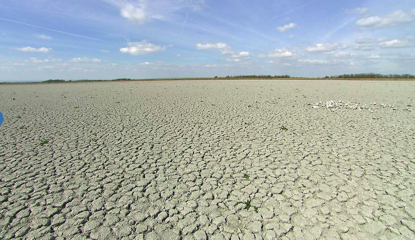 chorherr's tweet photo. Der Zicksee im Burgenland gerade jetzt.
Quelle: https://t.co/W1jO6tA5rK https://t.co/TvoMBP3TXt