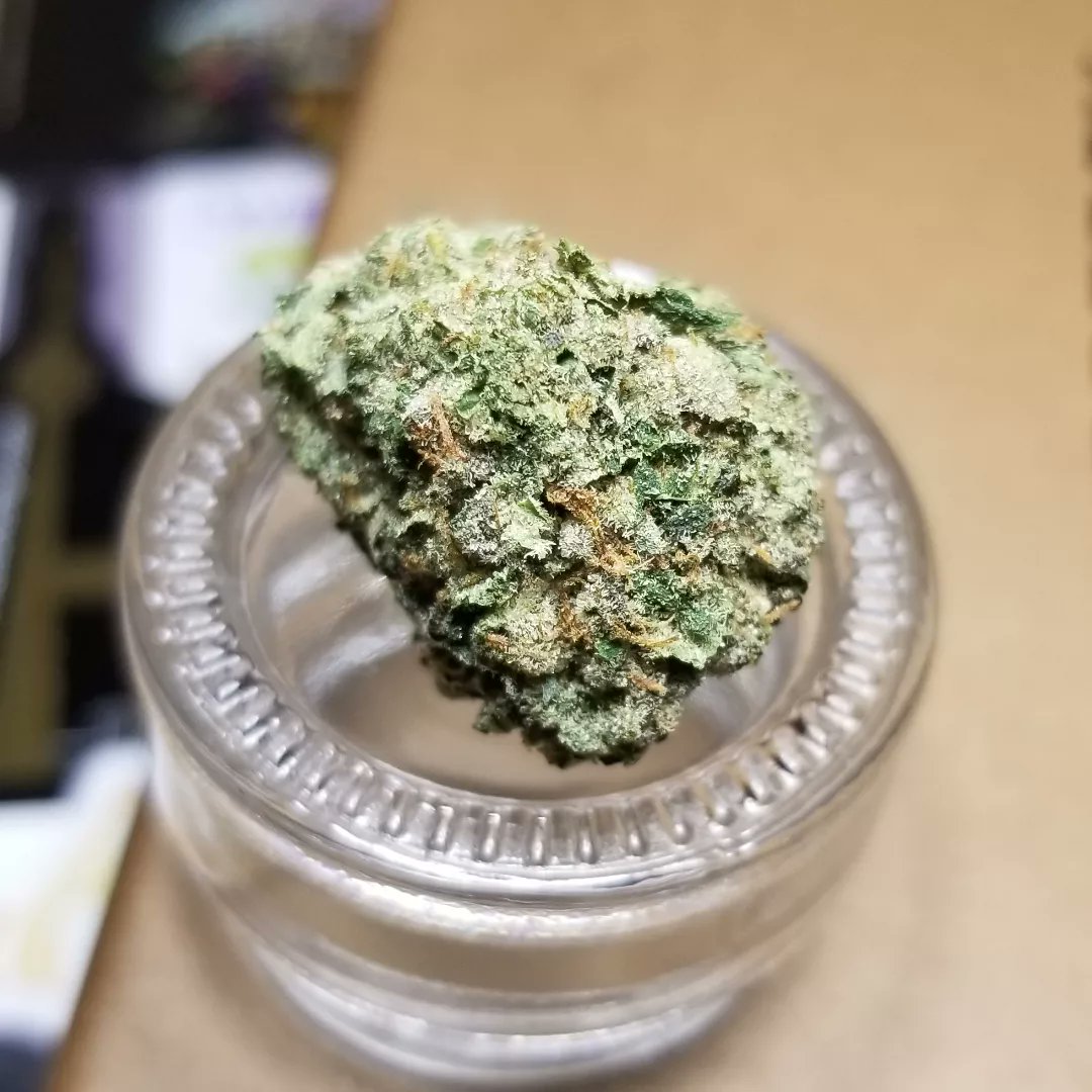Northern_Wayz's tweet photo. Organic Comatose by @1964supplyco really reminds me of a Lindsay OG cut being really kushy and OG centered, followed by a chemically tinted gas that’s actually really tasty. 

Organic certed to boot!

#CannabisCommunity 
#Mmemberville 
#cannabisculture https://t.co/ONcneugAm0