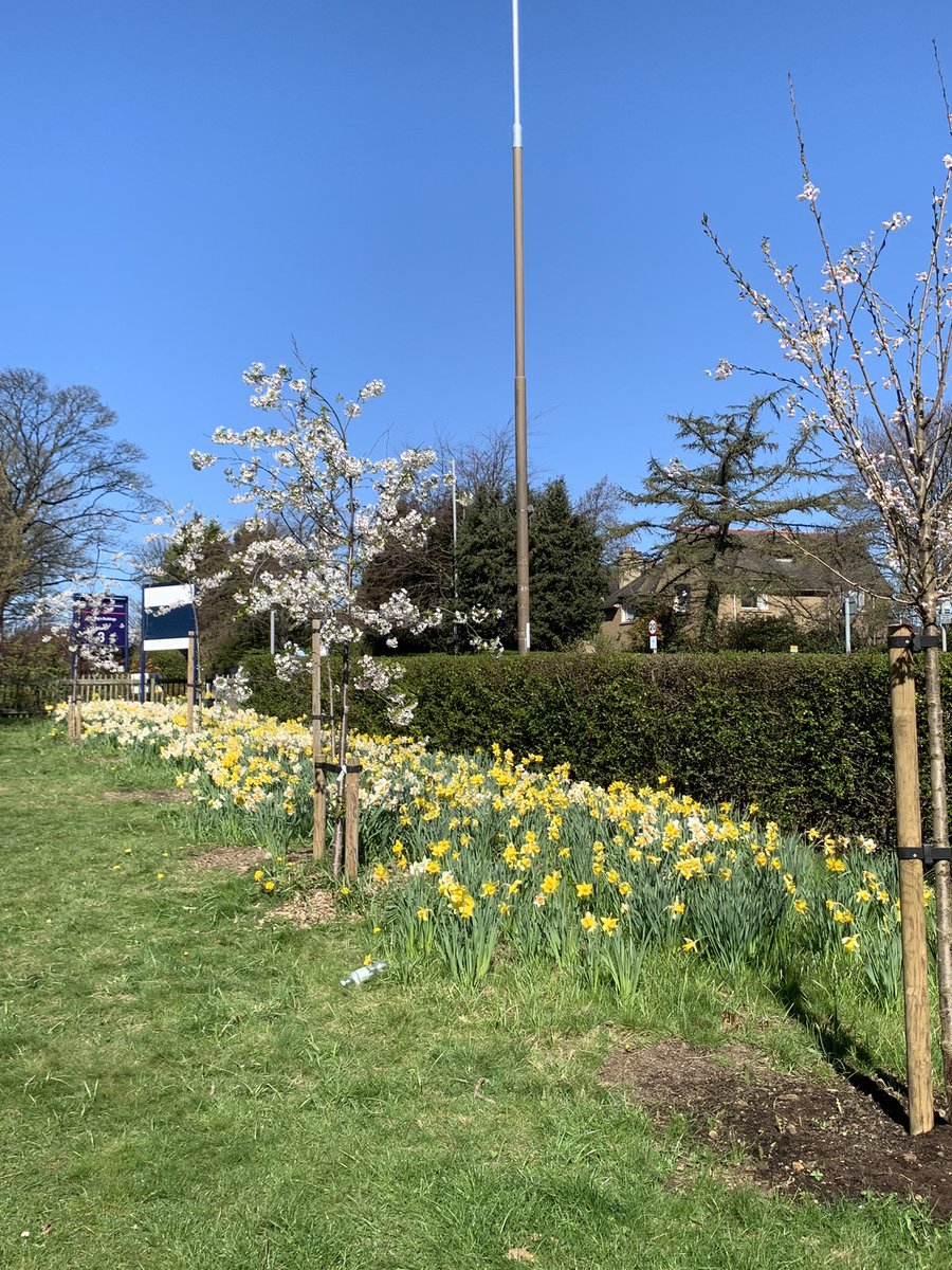 Spring has definitely arrived in Scotland once it reaches all the way to King’s Buildings <a href="/uoeKB/">King's Buildings</a>
