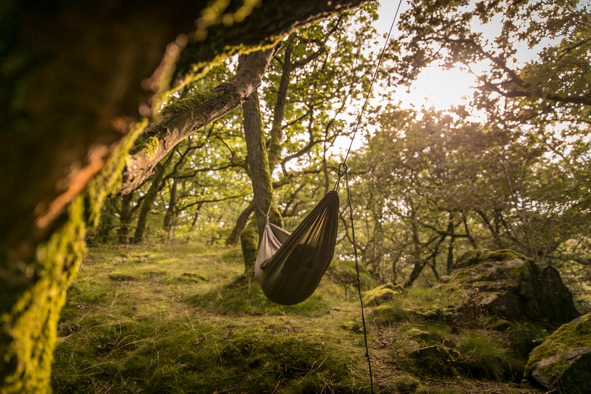 Snugpak's tweet photo. Our Tropical Hammock allows easy setup and is lightweight for your travels with nylon stitched seams to ensure durability, and made using parachute nylon.
Planning a night under the stars? Invest in our Tropical Hammock today! https://t.co/IBr5GOa03g
#WeGoToExtremes https://t.co/Oz5gD4RYQT