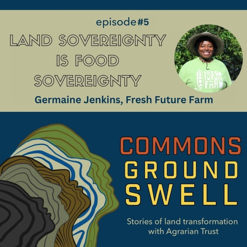 📣NEW EPISODE📣

We speak with Germaine Jenkins of Fresh Future Farm, discussing what it means for a farm to be on a month-to-month lease, the effects of gentrification on the community, and more.

Listen at Agrariantrust.org, Spotify, or Apple Podcasts.

 #landaccess