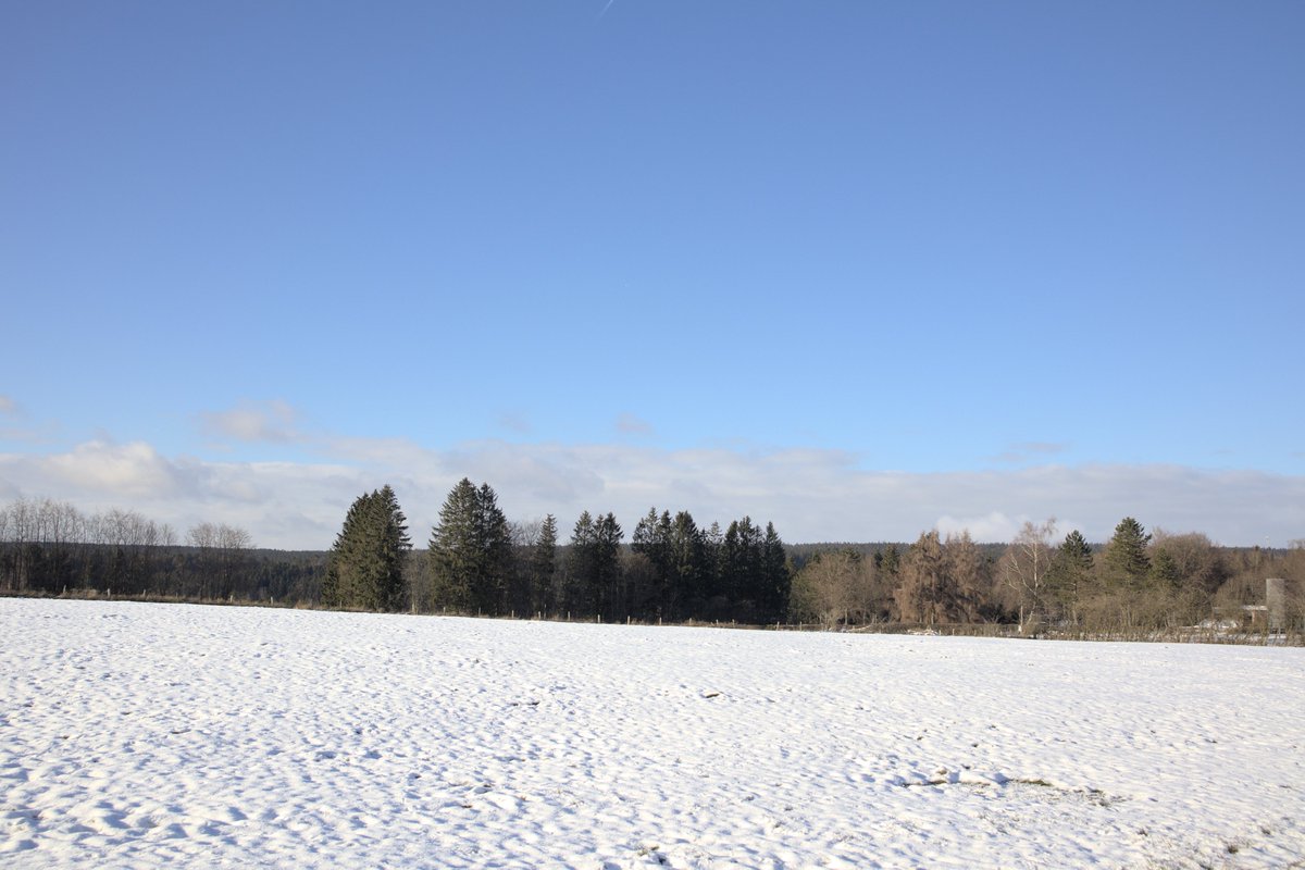 orgravenblack's tweet photo. As winter has gone and the last cold days pas. I can't but think that there is beauty in it as well.
#photo #photography #photographylovers
#nature #naturephotography #naturelovers #ardennes #hautesfagnes
#winter #winterphotography #winterlovers https://t.co/pjwCEetkkW