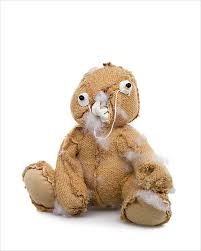 The Museum of Curiosities tweet media