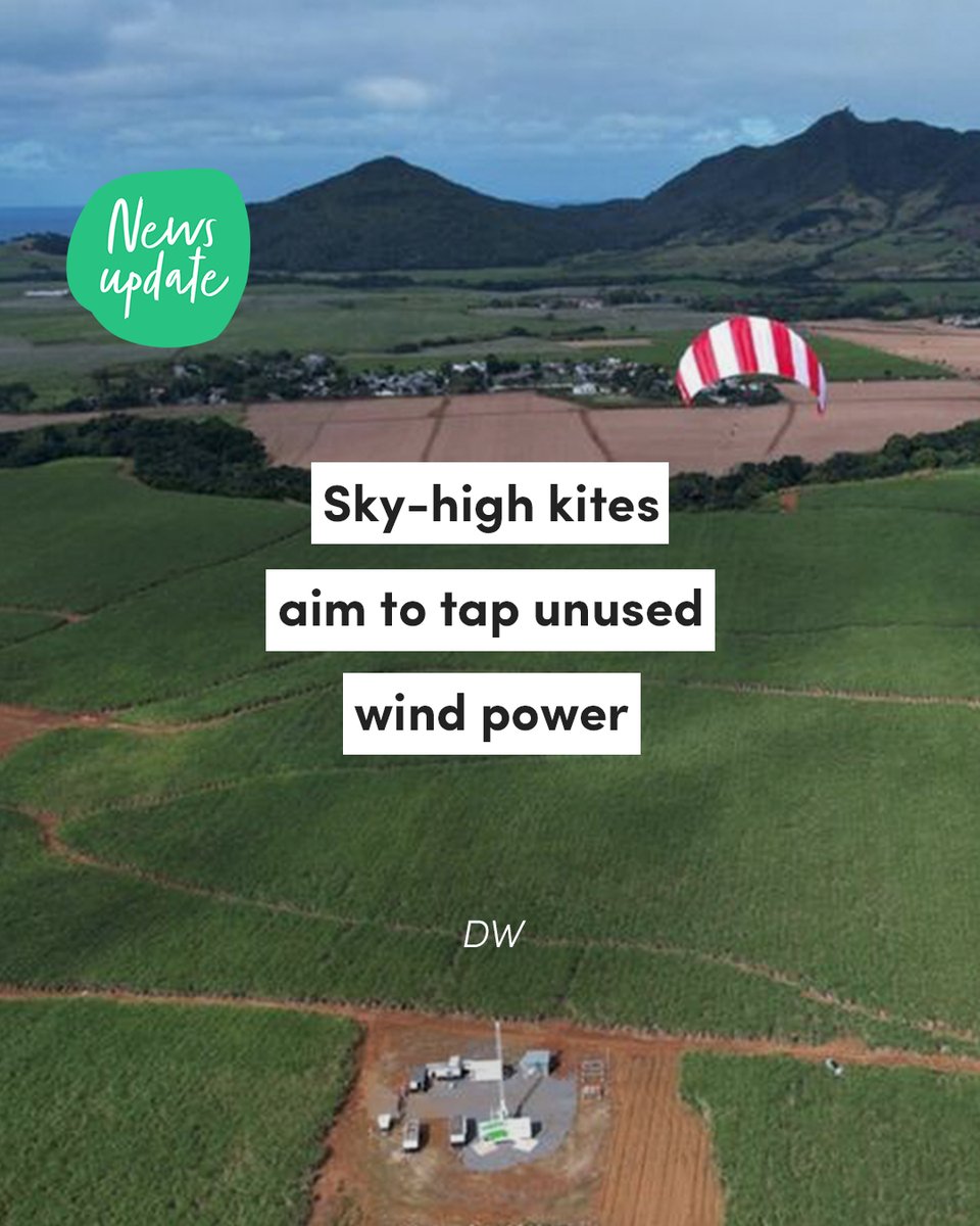 Ecologi_hq's tweet image. It&apos;s time for some #FeelGoodFriday headlines. 💚

Did we miss any?

#ClimateAction #ClimateSolution #PositiveNews #GoodNews