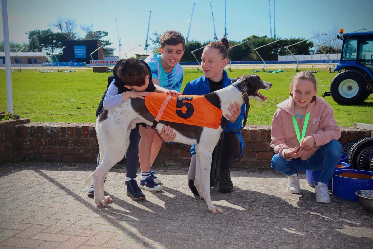 adachikennels's tweet photo. Part 2-Part 1 - Dexter ‘Swift Ukraine’ really enjoyed meeting the youngsters @HoveGreyhounds today 🙂 really loving these meet and greets ! #getthekidsinvolved https://t.co/fuyrKDCfzB