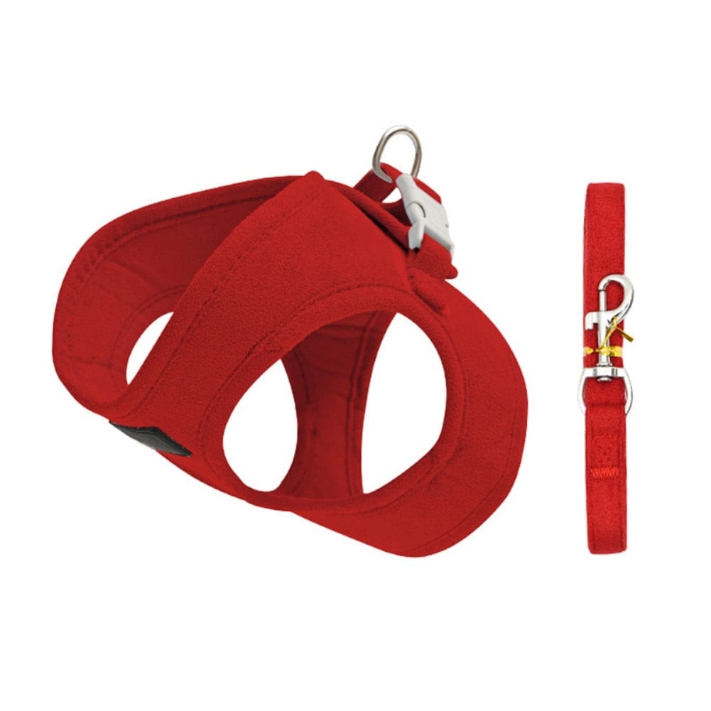 BeachPoochie's tweet photo. 🐾 Like and Share if you want this Padded Pet Harness and Leash Set - Red

$36.00

 #palmbeachpoochie #dogwalking #grooming #doggrooming #catlovers #catoftheday #kitty #kitten

FREE Shipping Worldwide 🌍

Tag a friend who would love this!

Buy one here ——> https://t.co/DTJs72IWwr https://t.co/lKVvgsQqmB