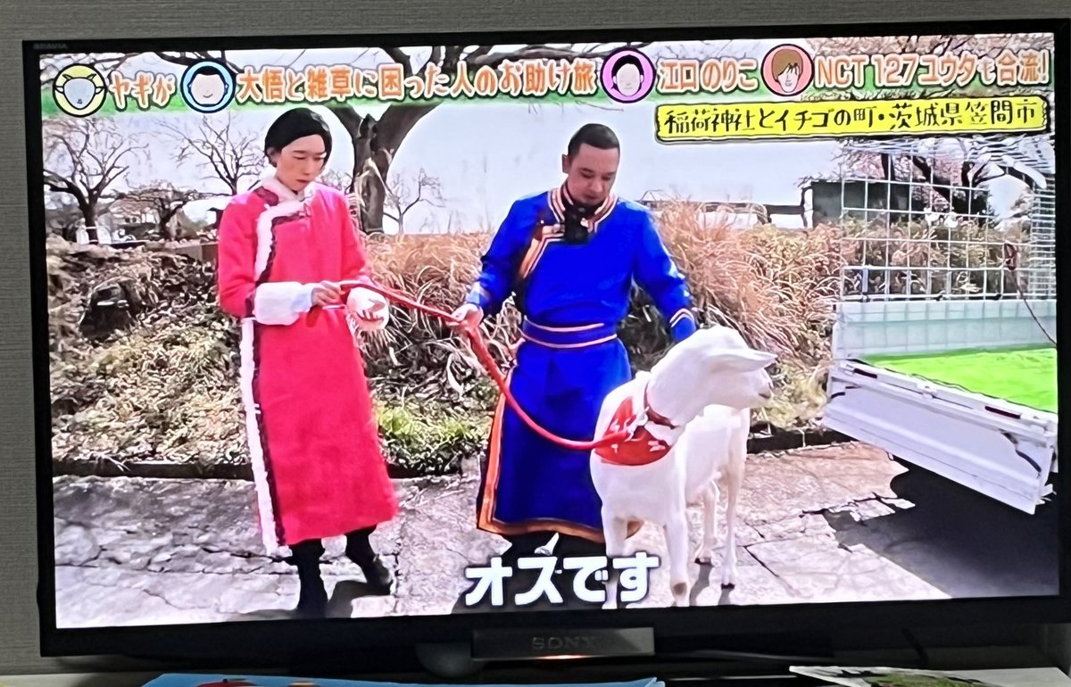 ayupomtam's tweet photo. 今回絶対神回だわ笑笑笑笑
#ヤギと大悟レギュラー放送記念 https://t.co/NlIt0DCkuZ
