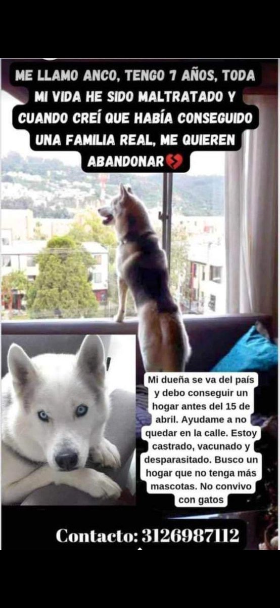 CarmenZR04's tweet photo. https://t.co/K9uqUup9fz