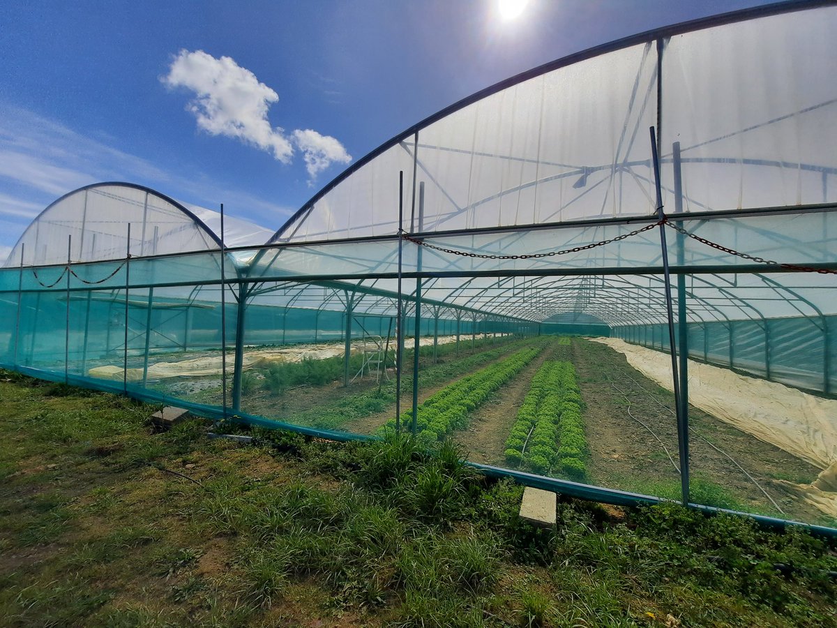 Axis Experts Conseils tweet media