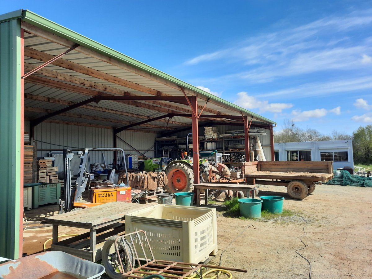 Axis Experts Conseils tweet media