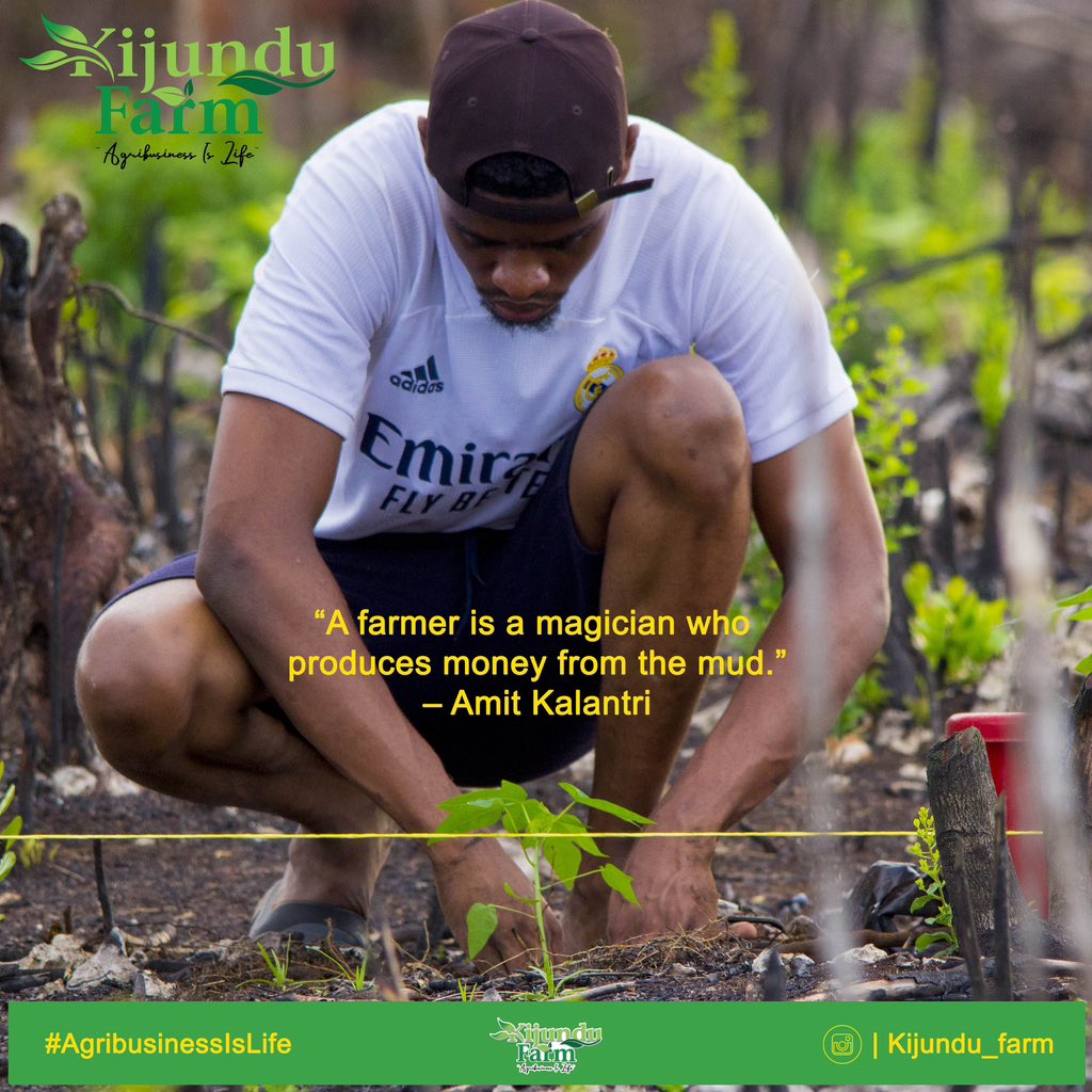 Alamini_2's tweet photo. "A farmer is a magician who produces money from the mud." - Amit Kalantri 
#agribusinessislife https://t.co/iTevAg6ruK