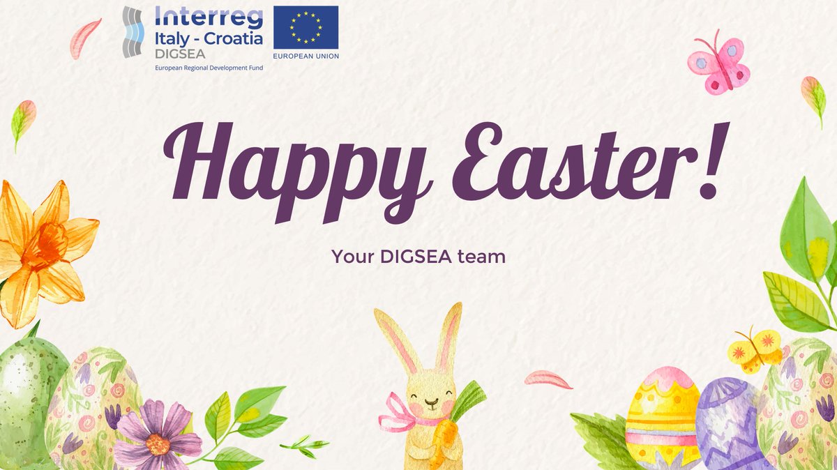 DIGSEA PROJECT tweet media