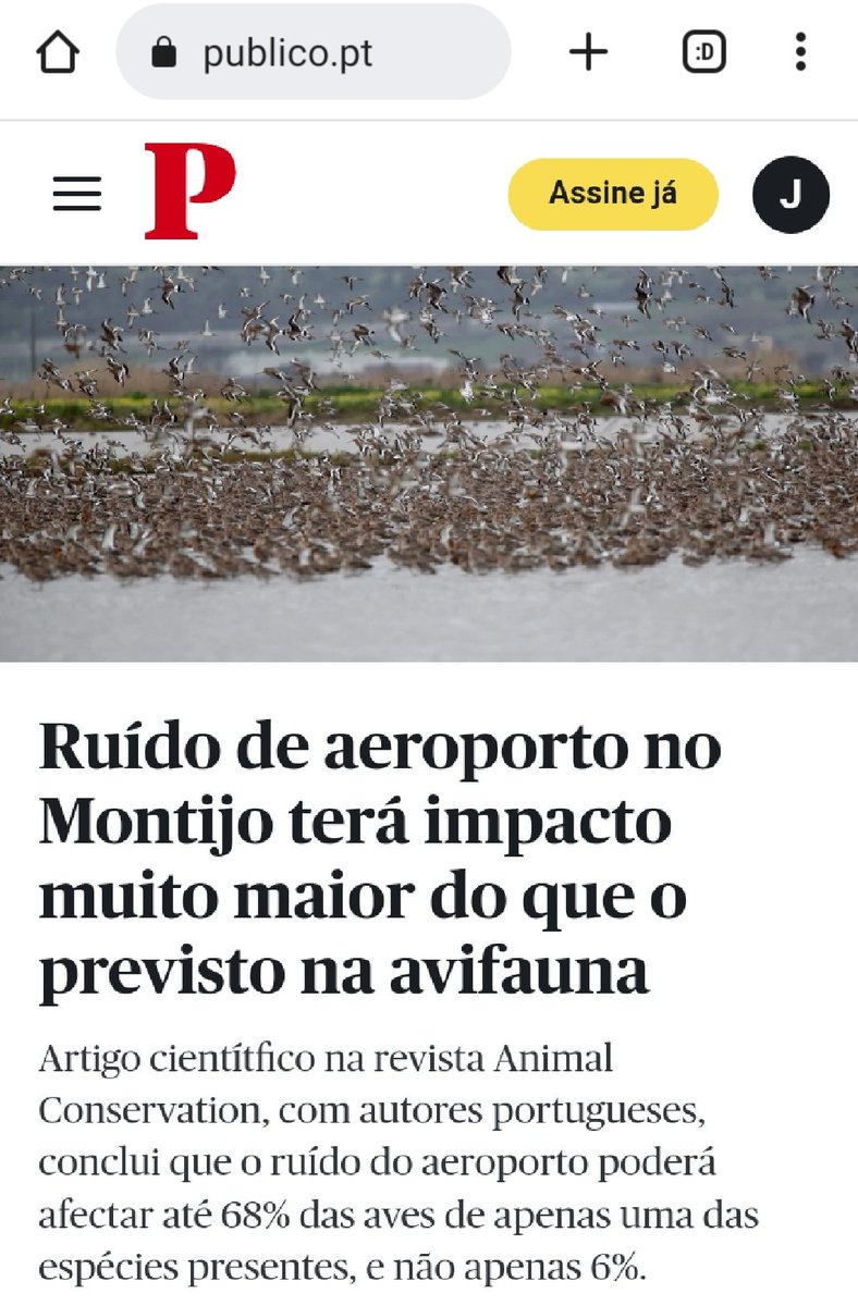José A. Alves (@_joseaalves_) on Twitter photo Great to see <a href="/Luscinia_joshua/">Josh Nightingale | Global Wader</a> #PhD #research making a real impact!
Placing an int airport at the heart of the major #wetland in PT, with airplanes overflying the protected area cannot be a good idea if we are serious about #biodiversity #conservation!
<a href="/UniAveiro/">UAResearch</a> <a href="/PublicoAzul/">Azul</a> Great to see <a href="/Luscinia_joshua/">Josh Nightingale | Global Wader</a> #PhD #research making a real impact!
Placing an int airport at the heart of the major #wetland in PT, with airplanes overflying the protected area cannot be a good idea if we are serious about #biodiversity #conservation!
<a href="/UniAveiro/">UAResearch</a> <a href="/PublicoAzul/">Azul</a>