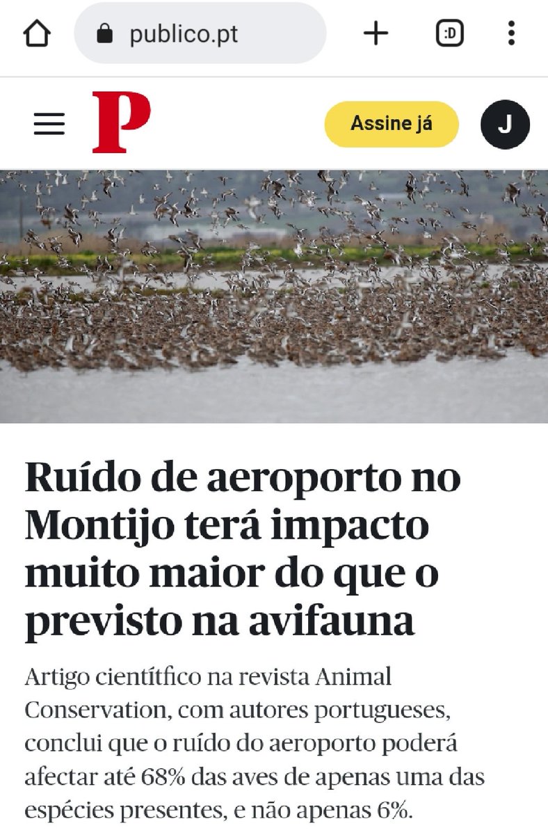 Great to see @Luscinia_joshua #PhD #research making a real impact! Placing an int airport at the heart of the major #wetland in PT, with airplanes overflying the protected area cannot be a good idea if we are serious about #biodiversity #conservation! @UniAveiro @PublicoAzul