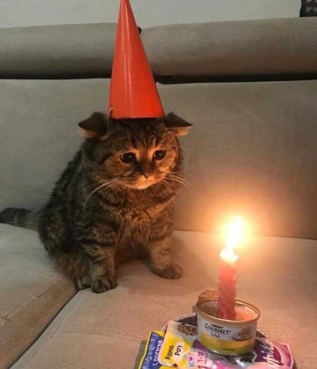 sila's LEMONADE 🍋 tweet media