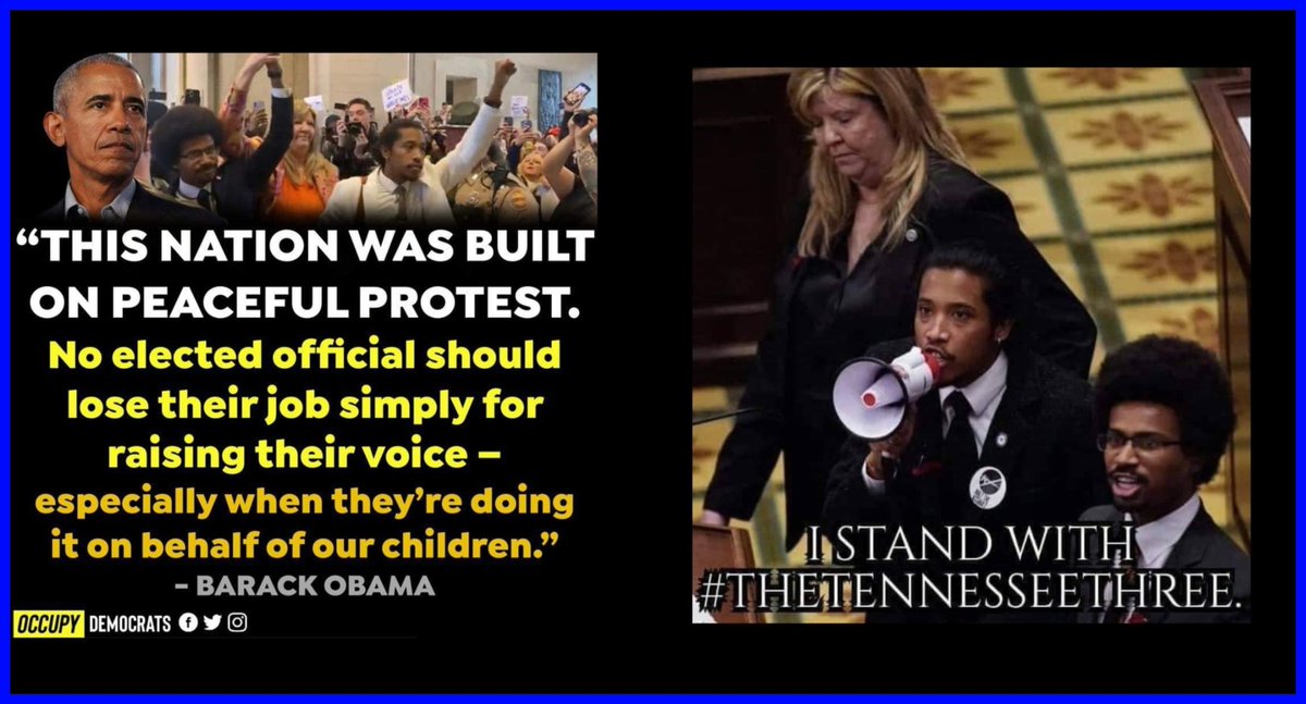 MissNyki's tweet photo. #IStandWithTheTennessee3
#RepJustinJones #RepJustinPearson 
#TennesseeThree #GunReform #nashvilleprotest #CovenantChristianSchool https://t.co/TrmoO4RFwm