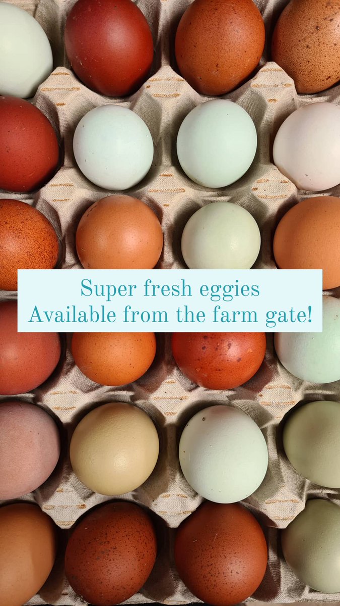 NewMacsFarm's tweet image. Happy Easter! 🍫🐣🐇💐🥚 Super fresh, organic, soya free hens eggs available from our farm shop near Box. Also available at the stockists listed in the photo! #FarmFreshEggs #ColouredEggs #QuattroColouredEggs