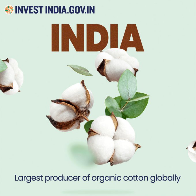 #InvestInIndia 

#DidYouKnow: India is also the largest producer of #cotton globally and has the highest area under cotton cultivation!   

Know more: bit.ly/textiles-appar…

#IndianTextiles #Cotton #TextilesOfIndia @IndianIpn @HofSwitzerland @misspeoi @gurleenmalik @SwissMFA