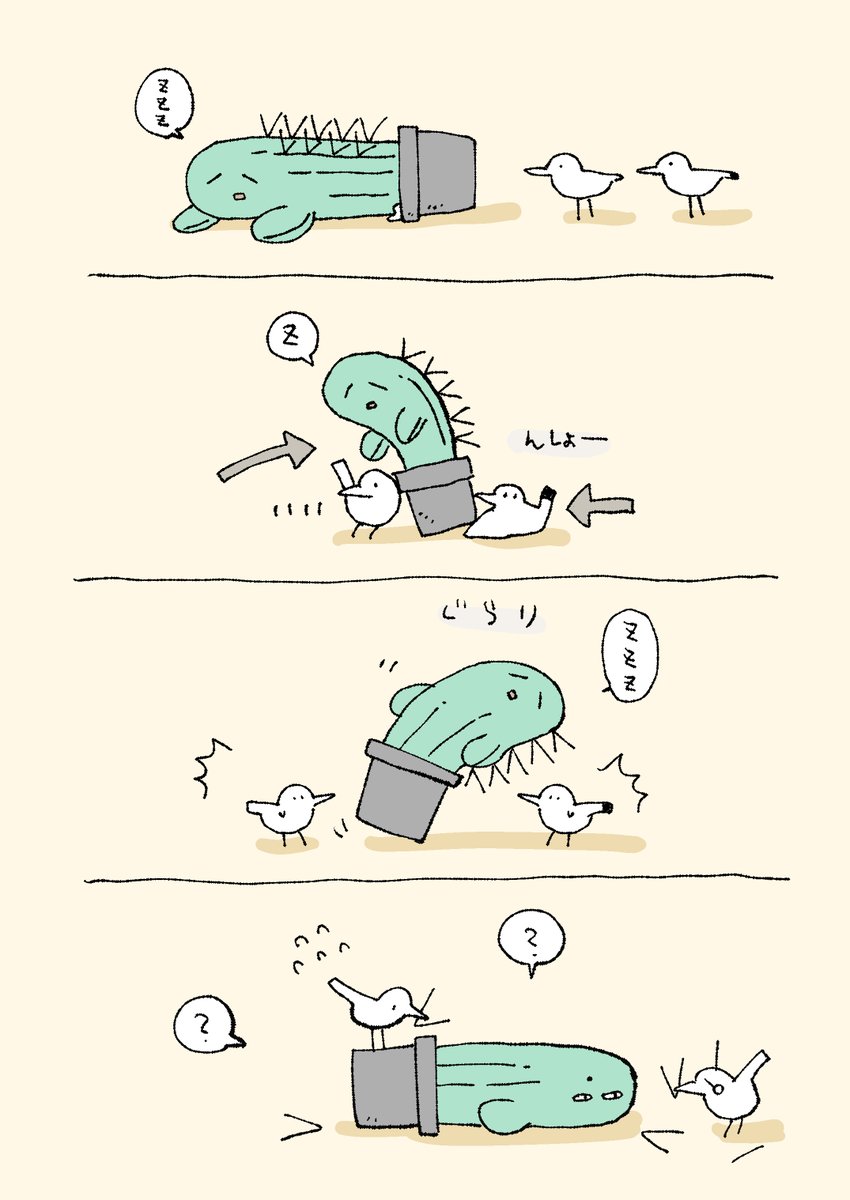 起きないサボてん 