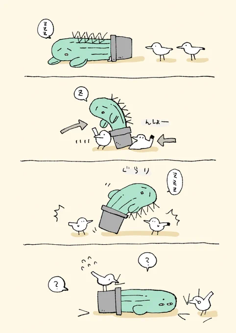 起きないサボてん 