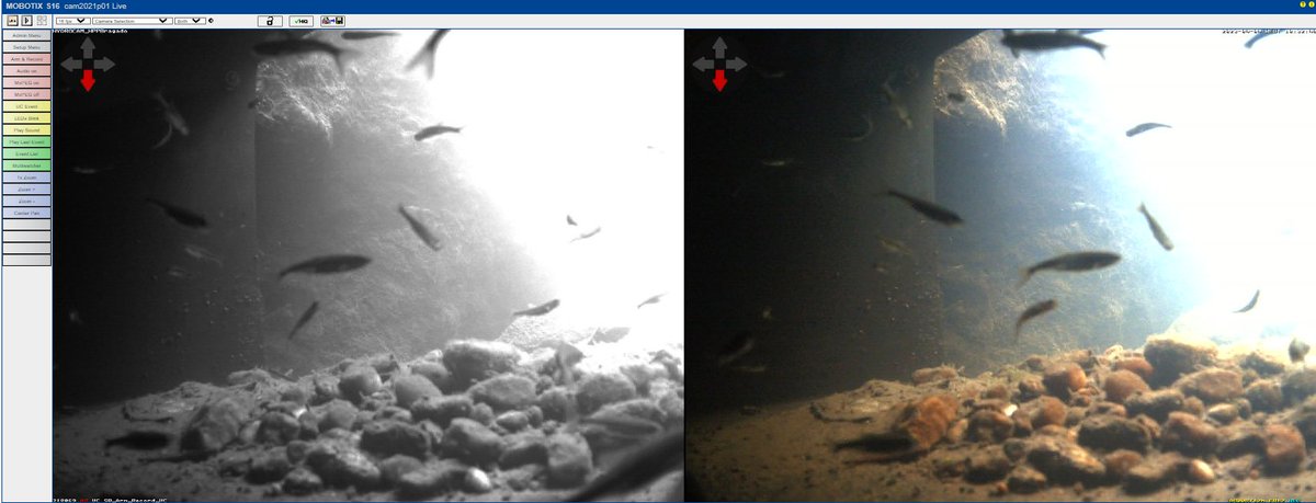 EcoPeak4Fish tweet media