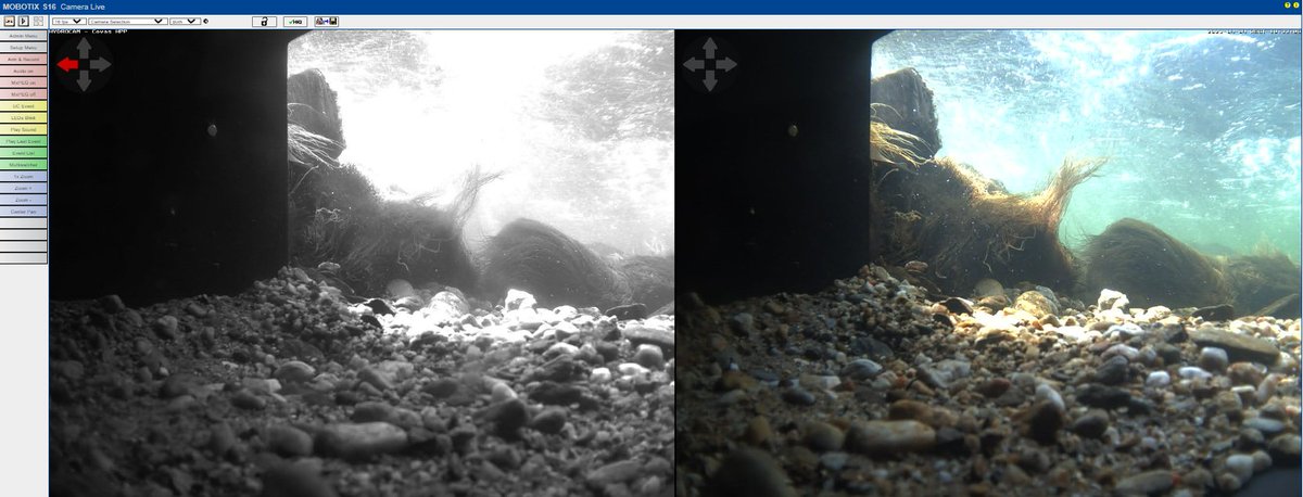 EcoPeak4Fish tweet media