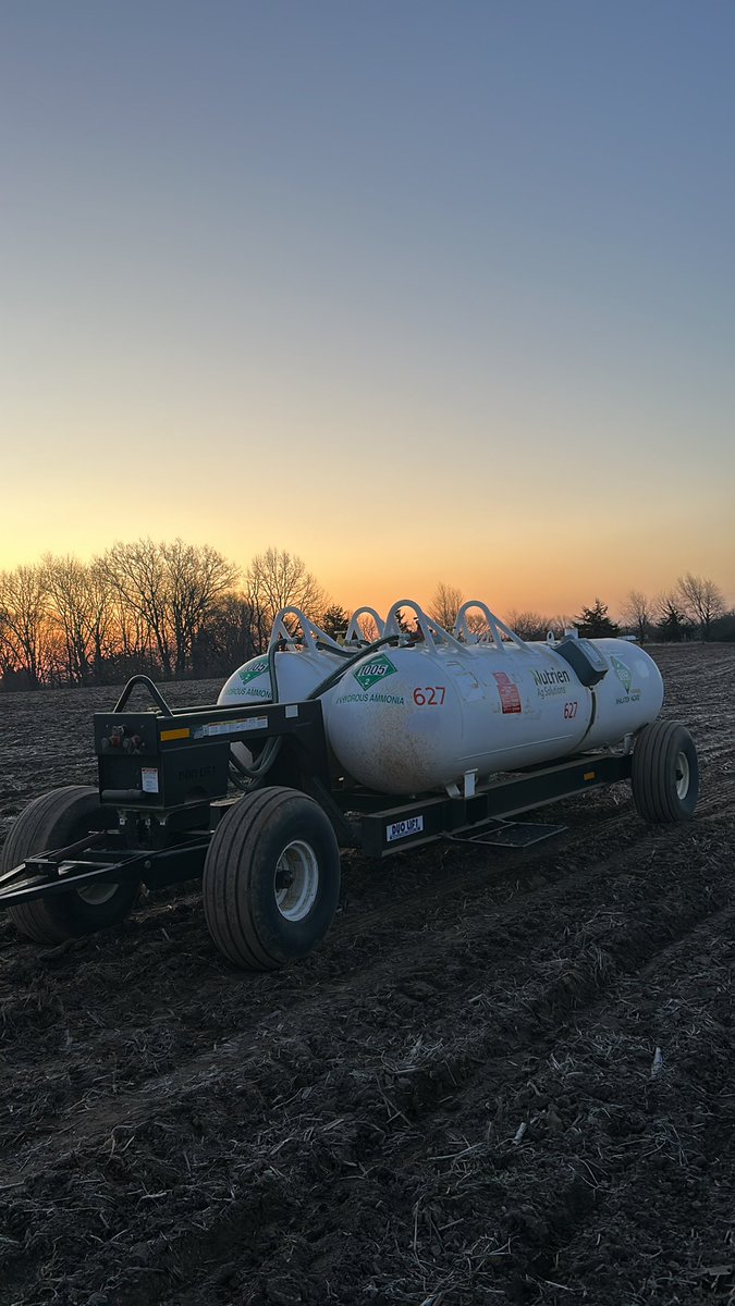 Dylan Davidson tweet media