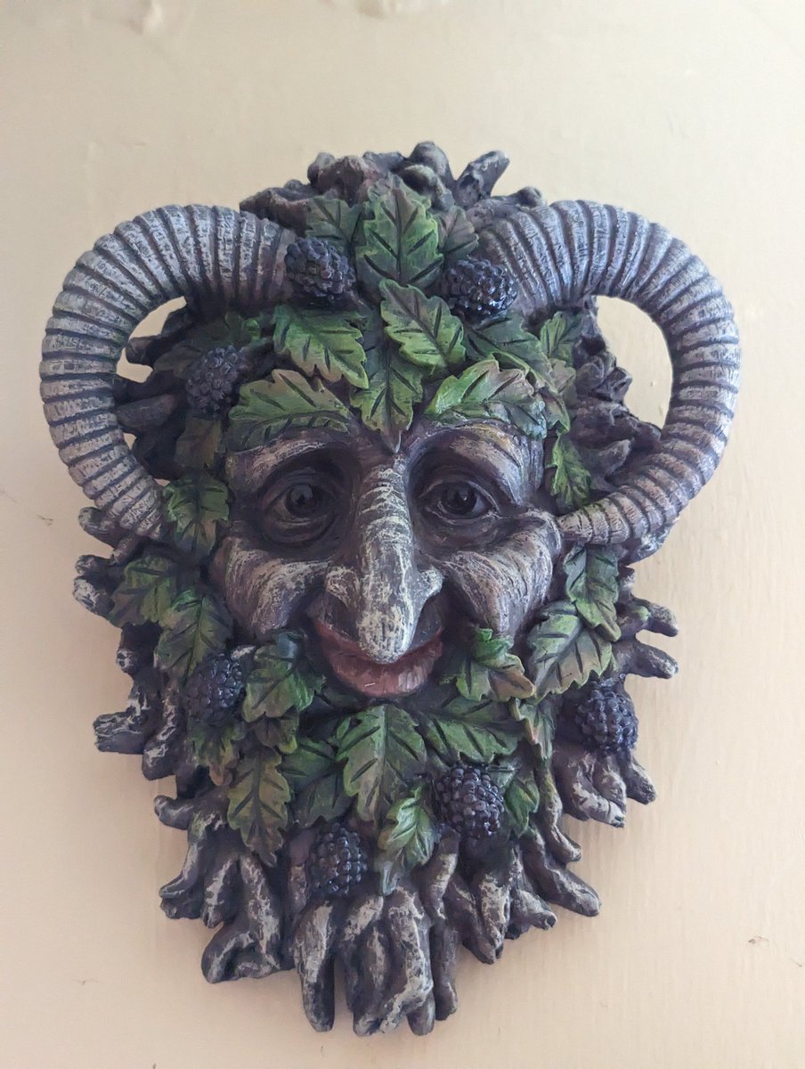 robiow's tweet photo. @gillinghamjoe was not expecting to see you on my mother's wall https://t.co/cBTvkUpOco