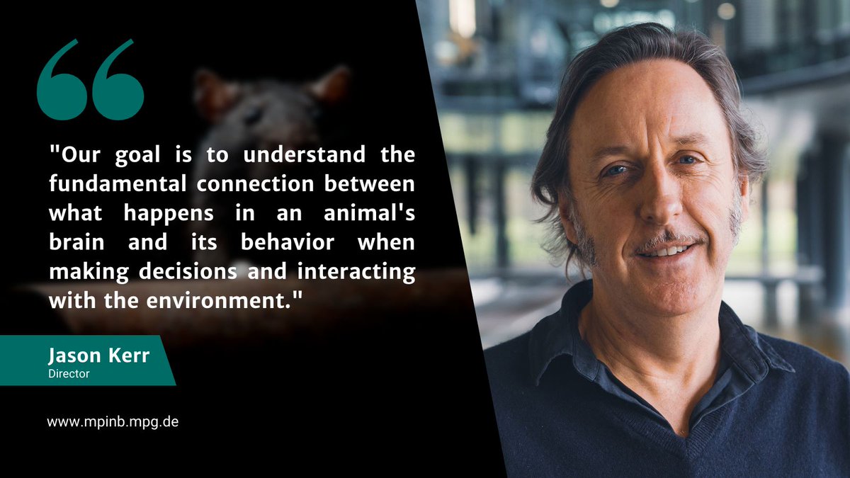 🧠 Meet Jason, our director and head of the department of Behavior and Brain Organization!BBO studies how mammals use vision to make decisions,using cutting-edge techniques like multiphoton microscopes and optics-based head and eye tracking on freely moving animals. #FridayFaces