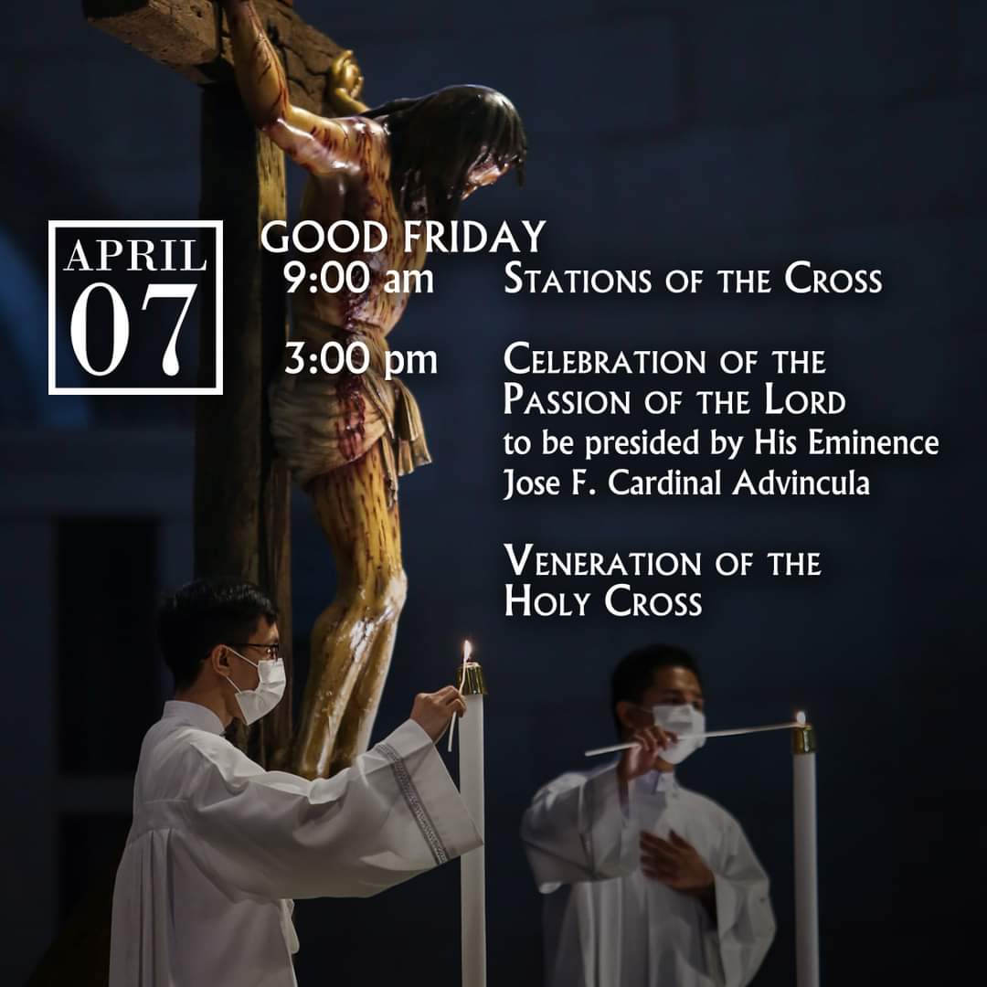 manilajourno's tweet photo. LIVE: Celebration of the Passion of the Lord
3PM | Manila Cathedral
Presided by His Eminence Jose F. Cardinal Advincula, Archbishop of Manila.
#ManilaCathedral #HolyWeek2023 #TVMaria
https://t.co/eQS3vzBxIm https://t.co/5mmXDVMSUm