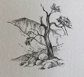 'Every branch and twig and stone, Stands out separate, alone, This winter clarity compelling Each to its own single telling' Day without sun, written #OTD in 1930 by #NanShepherd  First published in In the Cairngorms, 1934. Illus: June Allan